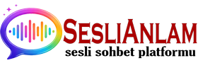 SesliAnlam